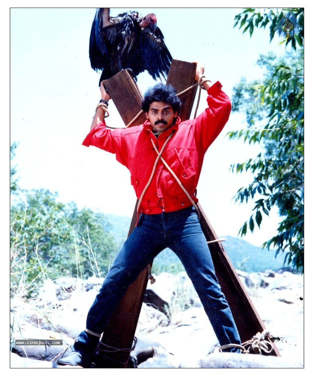 Venkatesh Completes Silver Jubilee Photos - 117 / 139 photos