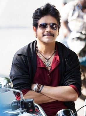 Nagarjuna New Still - 1 of 1