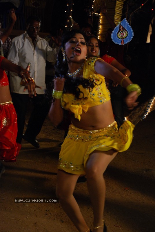 Aarti Puri Spicy Stills - 60 / 215 photos