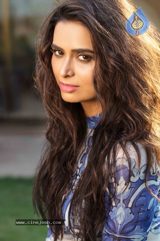 Actress Meenakshi Dixit Stills - 11 / 13 photos