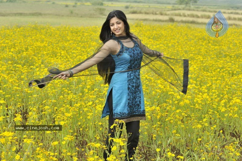 Actress Stills in Nagavalli Movie - 23 / 53 photos