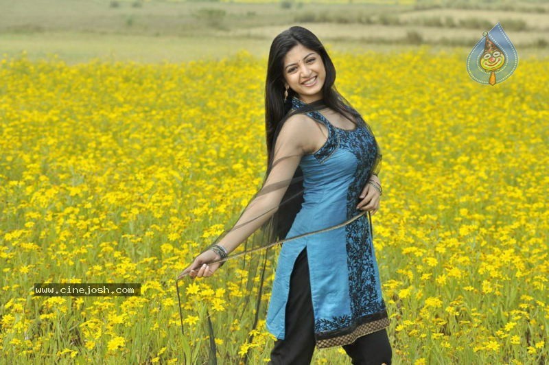 Actress Stills in Nagavalli Movie - 27 / 53 photos