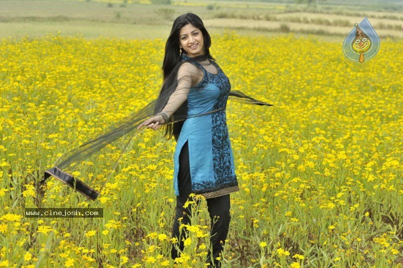 Actress Stills in Nagavalli Movie - 44 / 53 photos