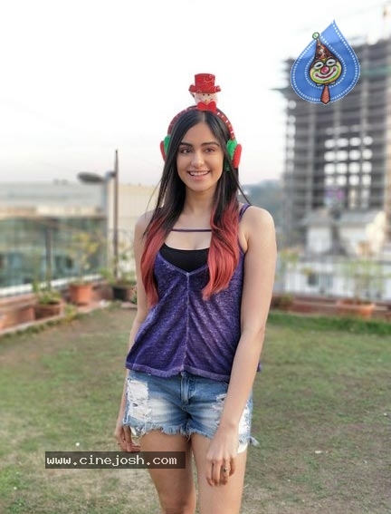 Adah Sharma Christmas Celebration Photos - 2 / 4 photos