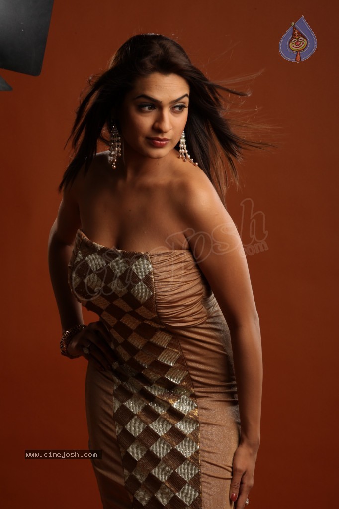Aditi Agarwal Hot Photo Shoot - 38 / 78 photos