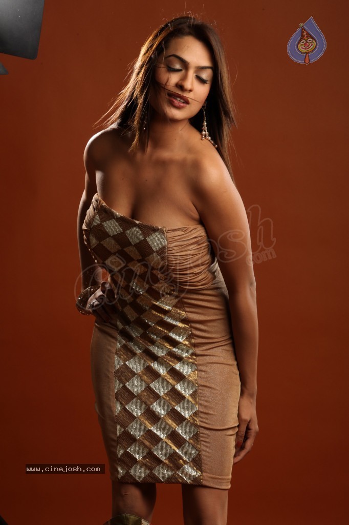 Aditi Agarwal Hot Photo Shoot - 69 / 78 photos