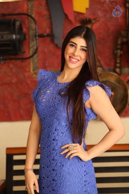 Aditi Singh Latest Gallery - 11 / 40 photos