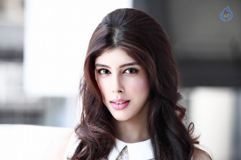 Aditi Singh New Pics - 4 / 6 photos