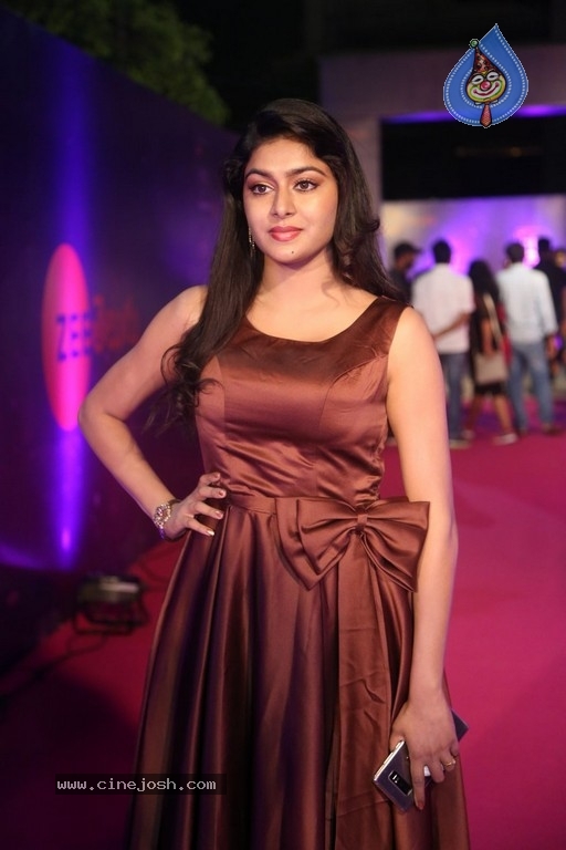 Akshithal at Zee Apsara Awards - 31 / 31 photos