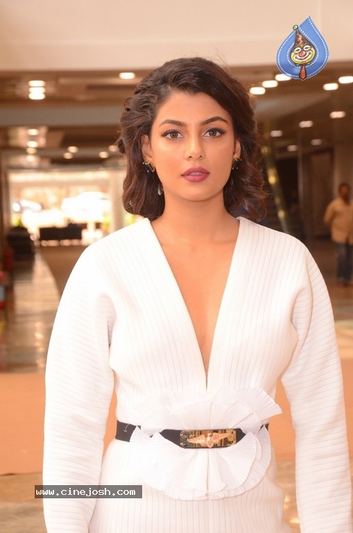 Anisha Ambrose New Images - 11 / 18 photos
