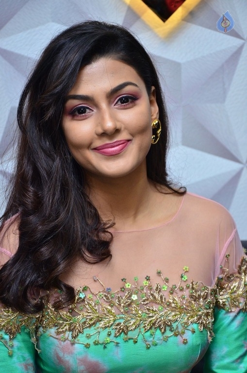 Anisha Ambrose New Stills - 2 / 21 photos