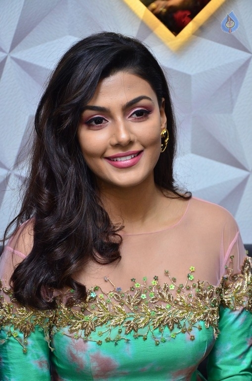 Anisha Ambrose New Stills - 5 / 21 photos