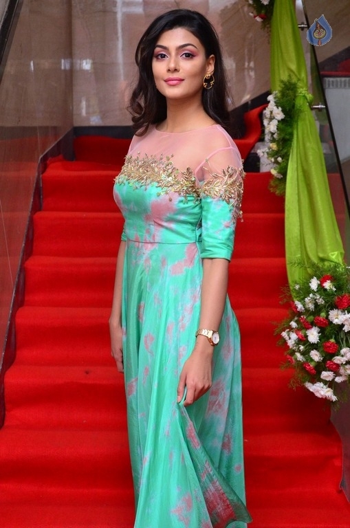 Anisha Ambrose New Stills - 6 / 21 photos