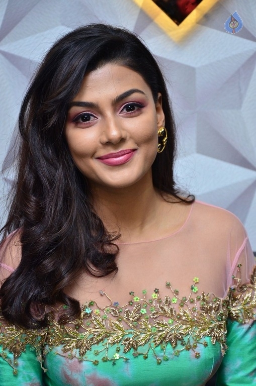 Anisha Ambrose New Stills - 9 / 21 photos