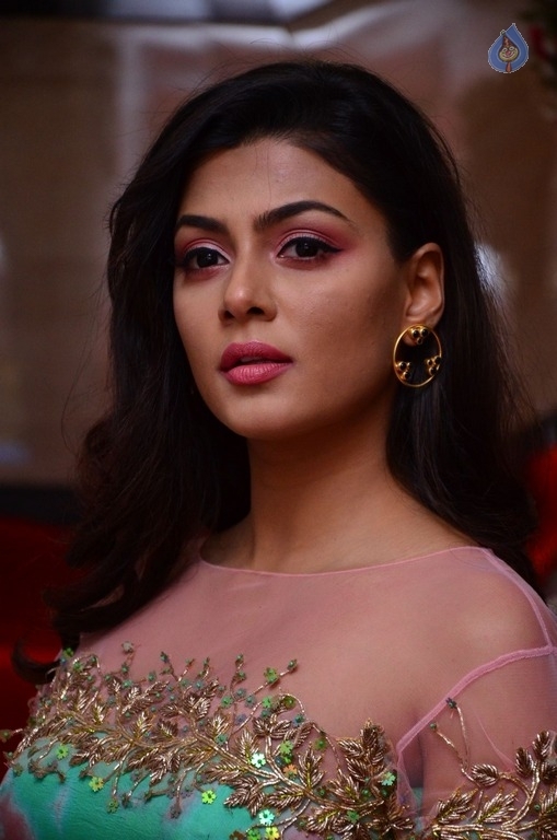 Anisha Ambrose New Stills - 17 / 21 photos
