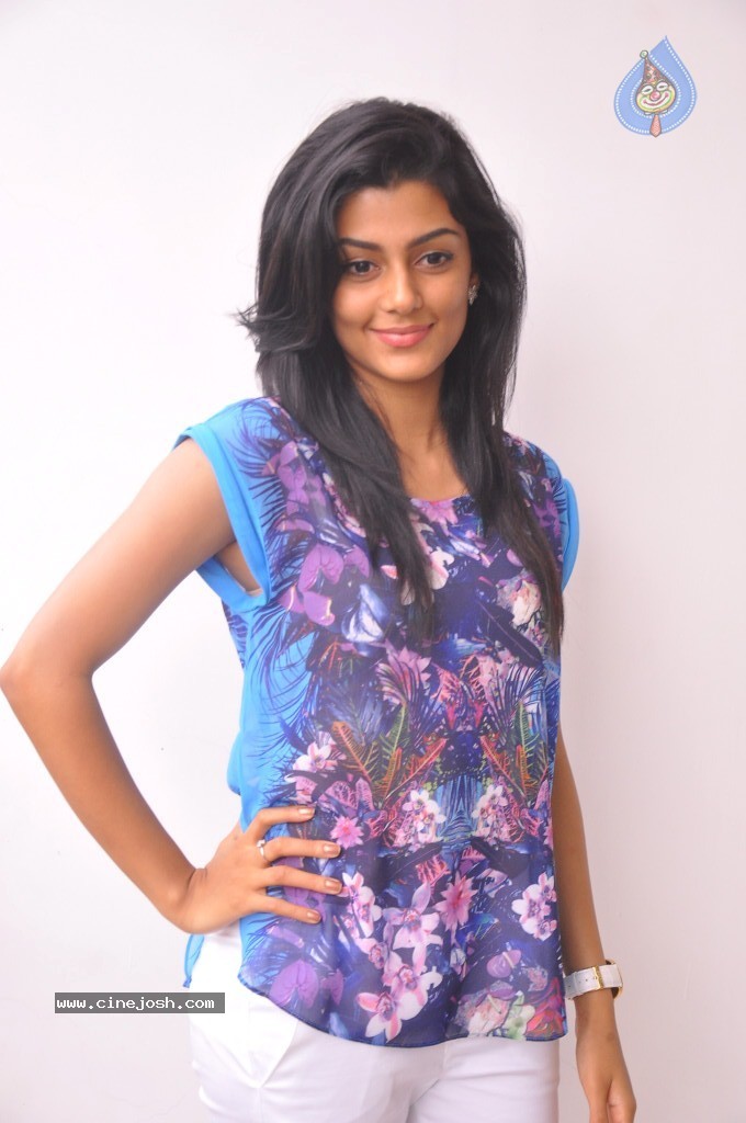 Anisha Ambrose Stills - 22 / 62 photos