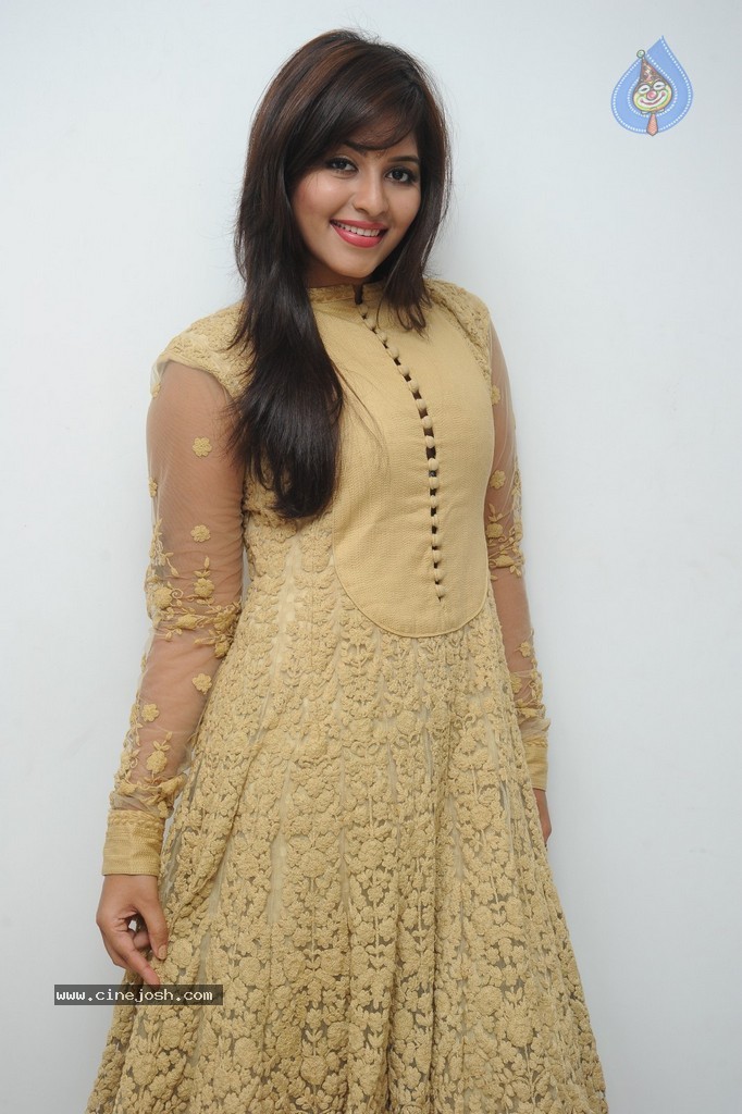 Anjali New Photos - 80 / 95 photos