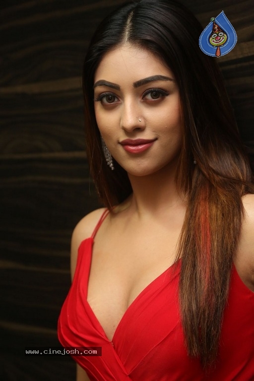 Anu Emmanuel New Photos - 10 / 21 photos