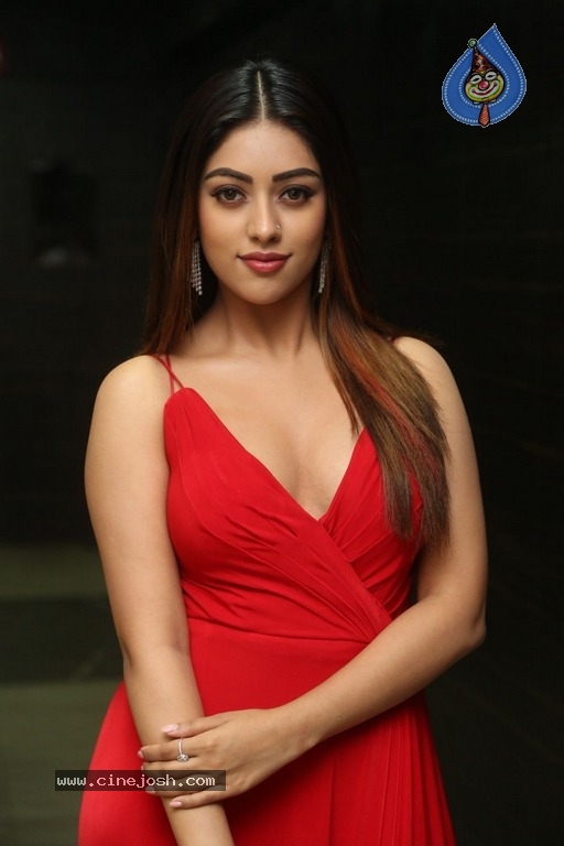 Anu Emmanuel New Photos - 16 / 21 photos