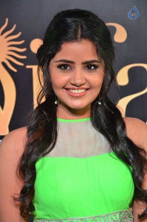 Anupama Parameshwaran at IIFA 2017 - 6 / 53 photos