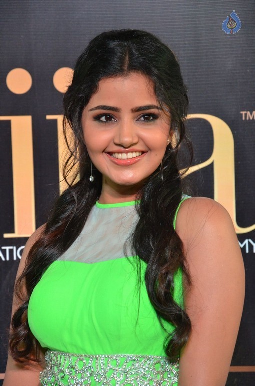Anupama Parameshwaran at IIFA 2017 - 22 / 53 photos