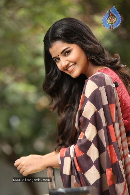 Anupama Parameswaran Interview Photos - 6 / 54 photos