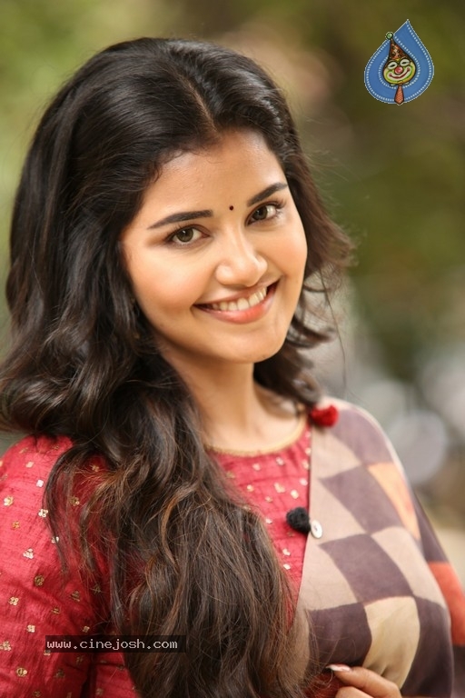 Anupama Parameswaran Interview Photos - 24 / 54 photos