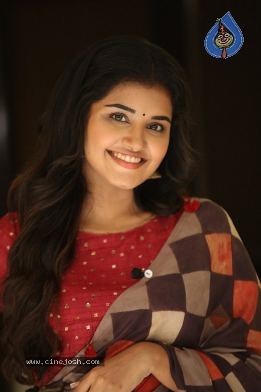 Anupama Parameswaran Interview Photos - 27 / 54 photos