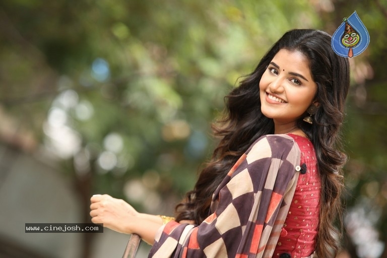 Anupama Parameswaran Interview Photos - 28 / 54 photos