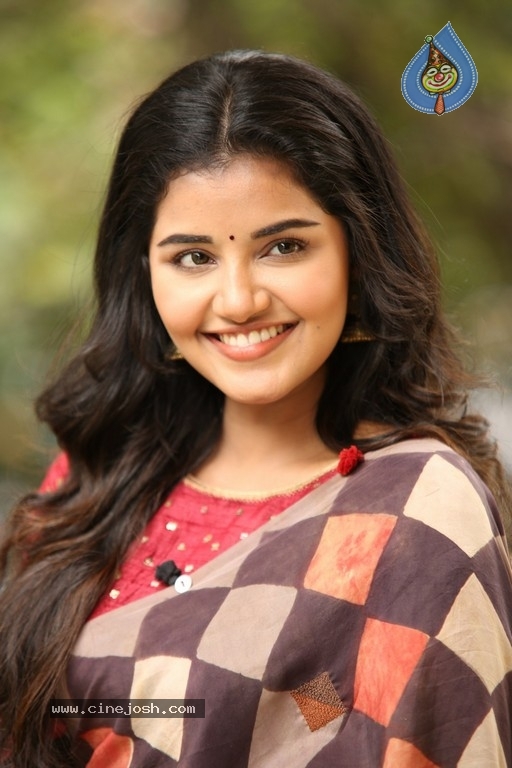 Anupama Parameswaran Interview Photos - 31 / 54 photos