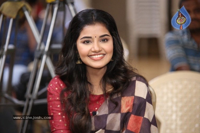 Anupama Parameswaran Interview Photos - 35 / 54 photos