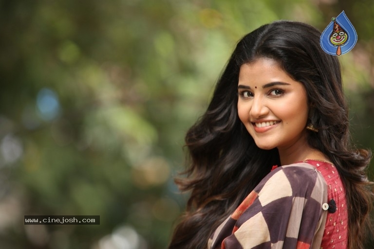 Anupama Parameswaran Interview Photos - 48 / 54 photos