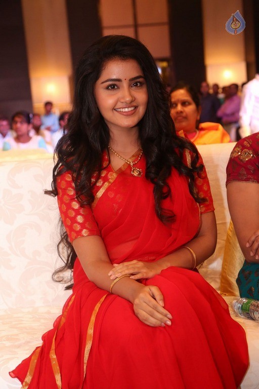 Anupama Parameswaran New Pics - 5 / 60 photos