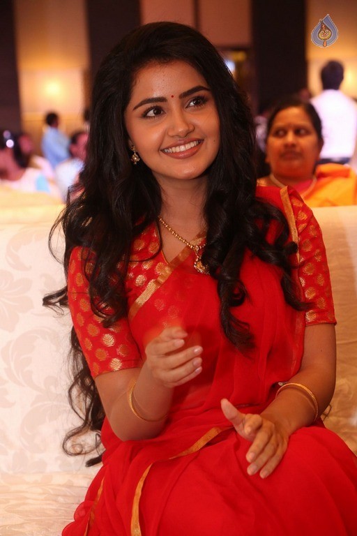 Anupama Parameswaran New Pics - 11 / 60 photos