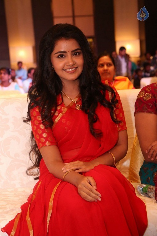 Anupama Parameswaran New Pics - 14 / 60 photos