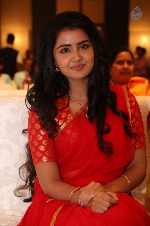 Anupama Parameswaran New Pics - 15 / 60 photos