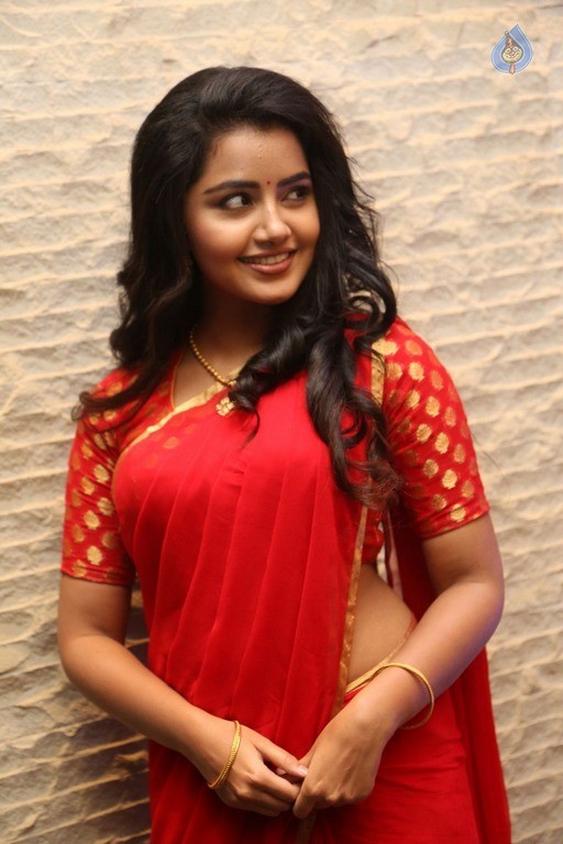 Anupama Parameswaran New Pics - 17 / 60 photos