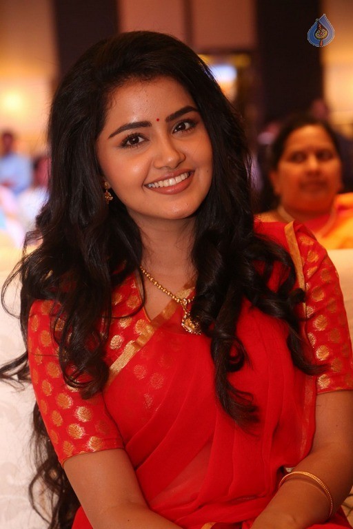 Anupama Parameswaran New Pics - 23 / 60 photos