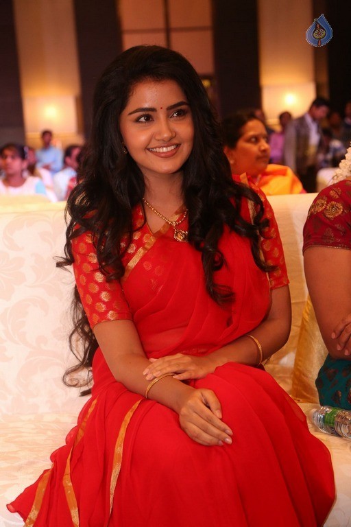 Anupama Parameswaran New Pics - 27 / 60 photos