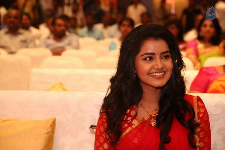 Anupama Parameswaran New Pics - 52 / 60 photos