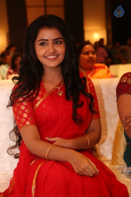 Anupama Parameswaran New Pics - 58 / 60 photos