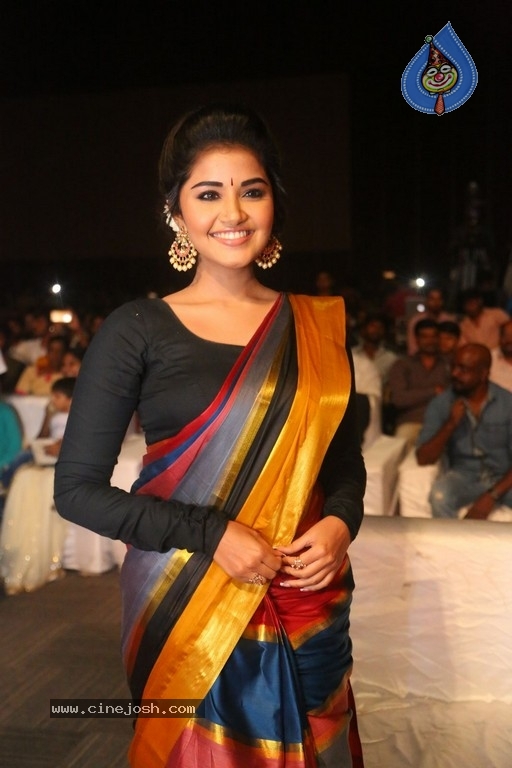 Anupama Parameswaran Tej I Love You Audio Launch - 36 / 41 photos