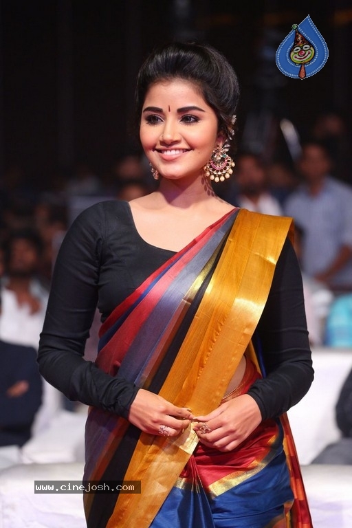 Anupama Parameswaran Tej I Love You Audio Launch - 39 / 41 photos