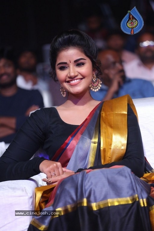 Anupama Parameswaran Tej I Love You Audio Launch - 41 / 41 photos