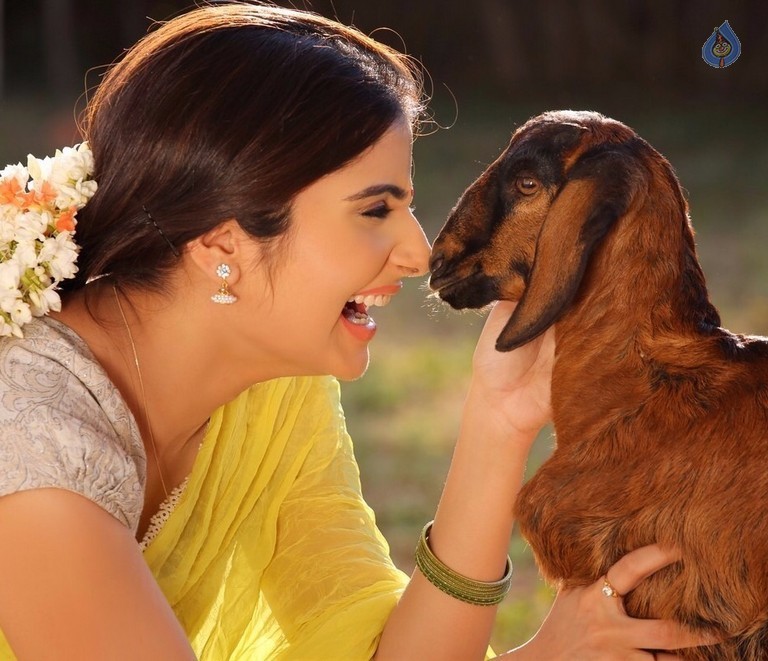 Aqsa Bhatt Photo Shoot - 31 / 31 photos