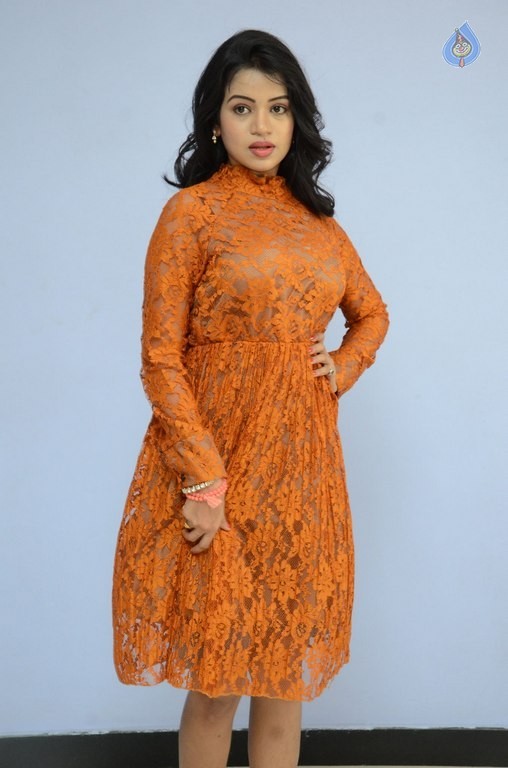 Bhanu Sri Latest Photos - 11 / 38 photos