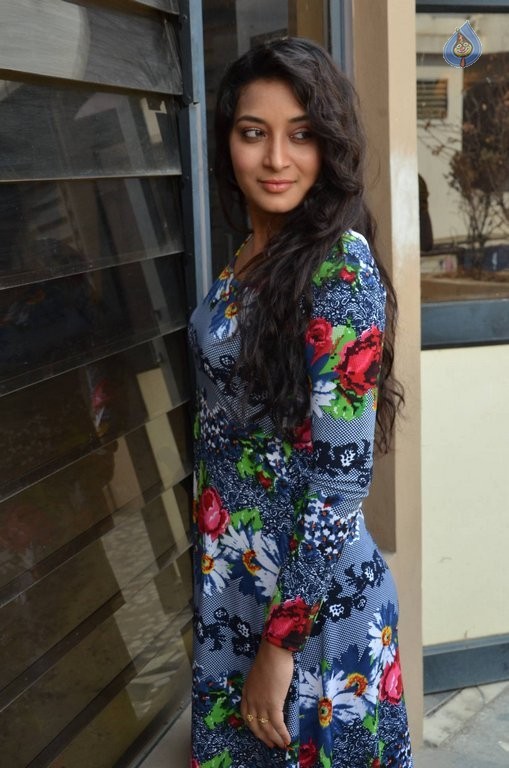 Bhanu Sri Latest Pics - 21 / 35 photos
