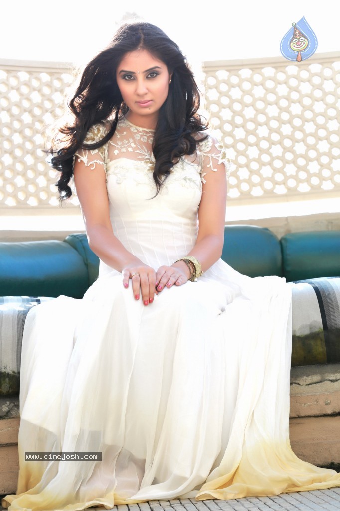 Bhanu Sri Mehra New Photos - 29 / 68 photos
