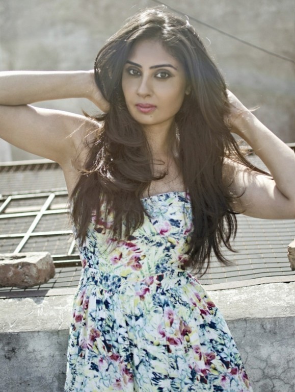 Bhanu Sri Mehra Photoshoot  - 12 / 18 photos