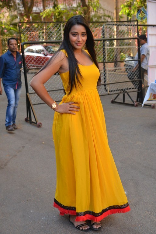 Bhanu Sri New Images - 14 / 41 photos